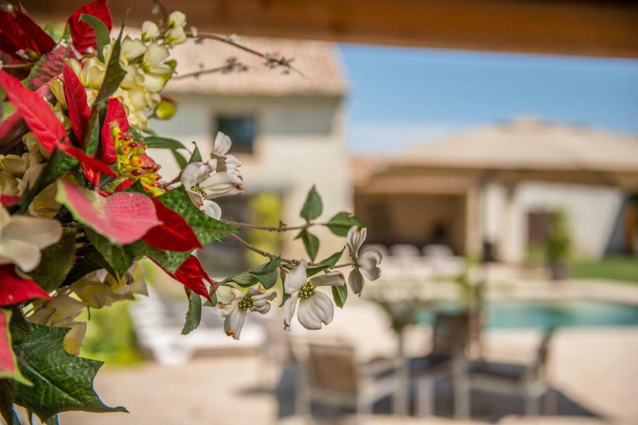 Le Mas Du Batadou - Gite De Charme En Provence Visan Екстер'єр фото